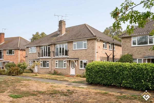 Calle Shaef, Teddington