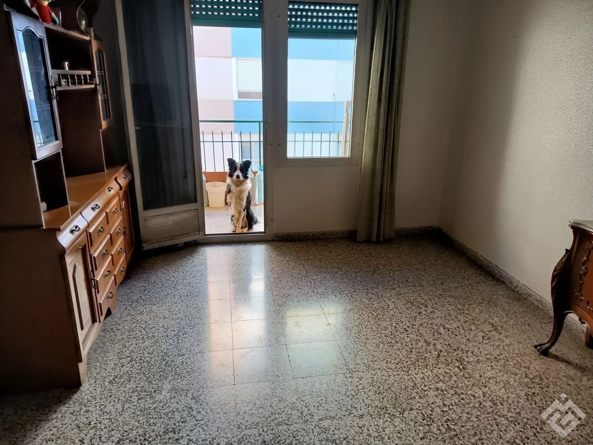 Flat / apartment for sale in avenida Sants de la Pedra, 3