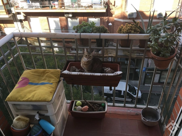 Flat / apartment for sale in calle de Teruel, 12