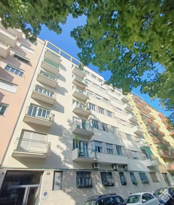 Apartment in Irnerio Square, 8