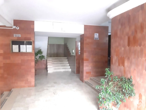 Appartamento in viale dei Pini, 101