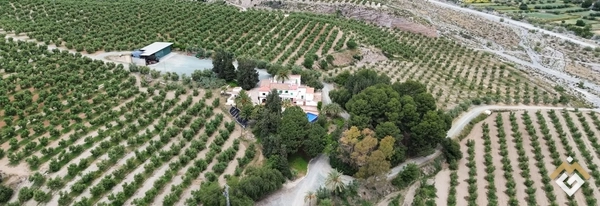 Certified Organic Olive Estate