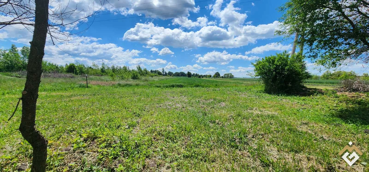 Sale of a plot for construction in Chyshky, 25 sotka