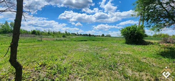 Sale of a plot for construction in Chyshky, 25 sotka