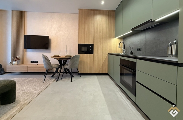 Long-term rental of a 1-room apartment on Salyutna St 2 building 24